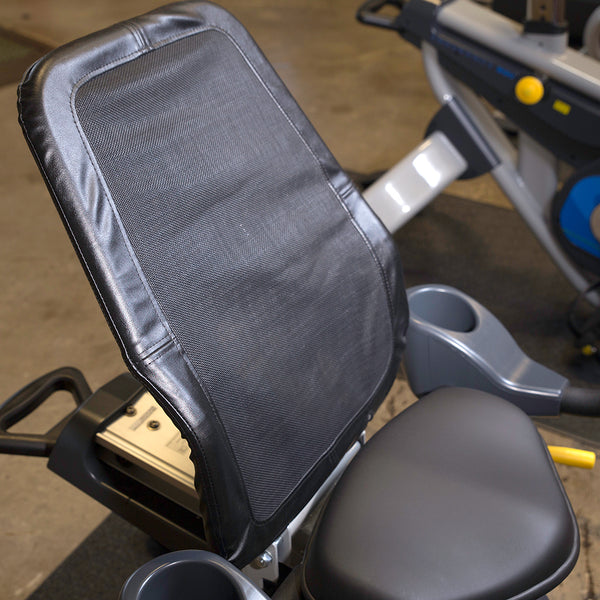Endurance Recumbent Bike B5R