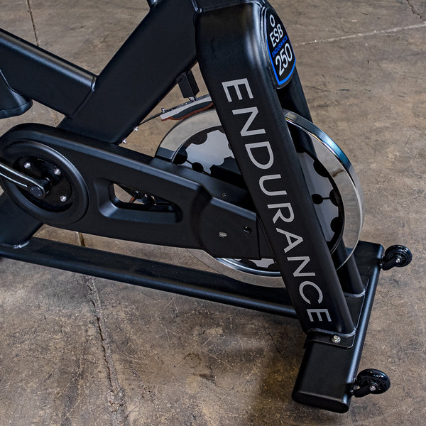 Body-Solid Endurance Indoor Bike Pro ESB250