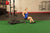 Body-Solid Weight Sled GWS100